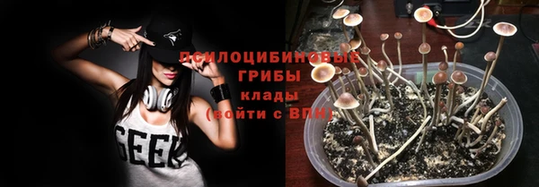 таблы Алексеевка