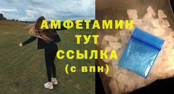 мет Алексин