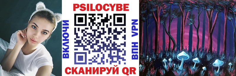 Псилоцибиновые грибы Psilocybine cubensis  OMG   Красавино  купить закладку 